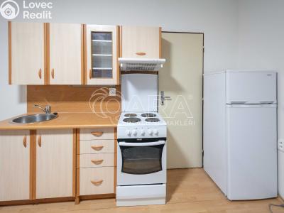 Pronájem bytu 1+KK Mělník, Čechova č. 1