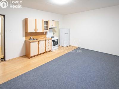 Pronájem bytu 1+KK Mělník, Čechova č. 5