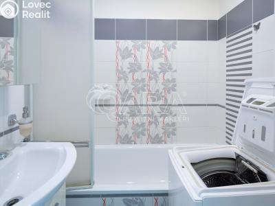 Pronájem bytu 2+1 Mělník, Studentská 2581 č. 5