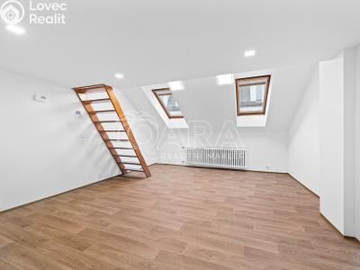 Pronájem bytu 4+1 Praha, Černá č. 1