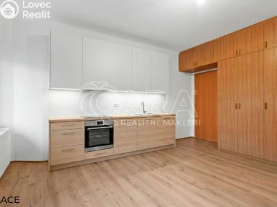 Pronájem bytu 4+1 Praha, Černá č. 5