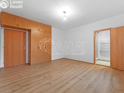 Pronájem bytu 4+1 Praha, Černá č. 6