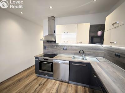 Аренда квартиры 3+1 Ostrov, Družební č. 1