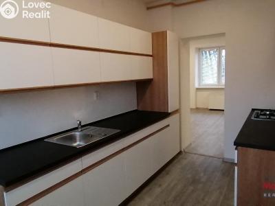 Pronájem bytu 3+1 Ostrava, Plechanovova č. 1