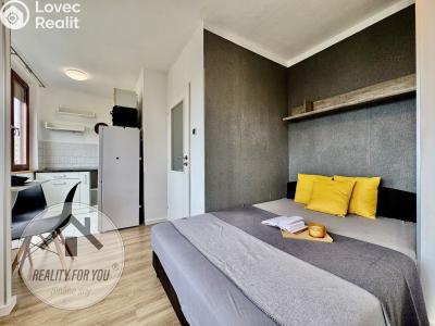 Pronájem bytu 1+KK Praha, Dunická č. 1