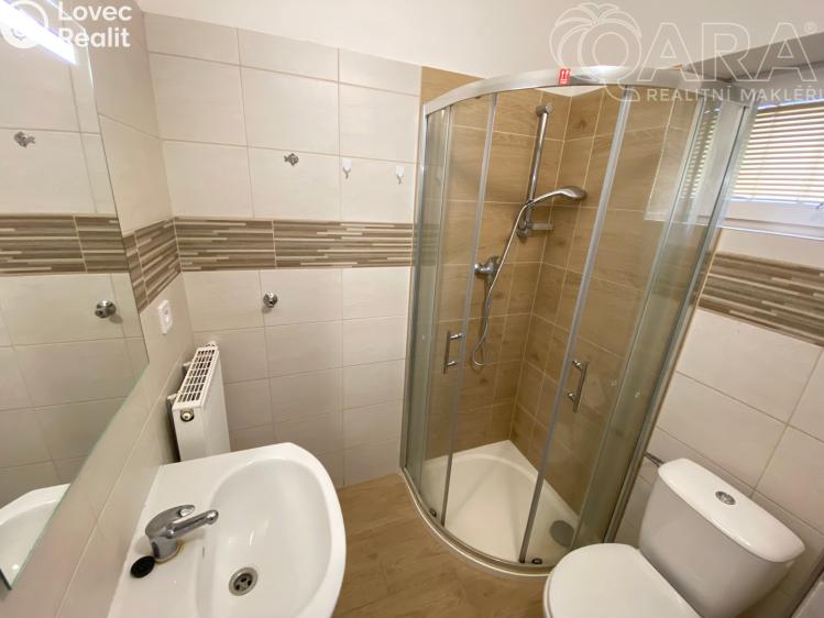 Pronájem bytu 1+1 Ivanovice na Hané, Husova 316/1 č. 1