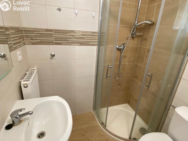 Pronájem bytu 1+1 Ivanovice na Hané, Husova 316/1 č. 9