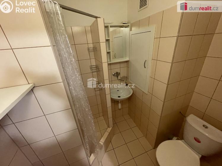 Pronájem bytu 1+1 Ostrava, 29. dubna č. 5