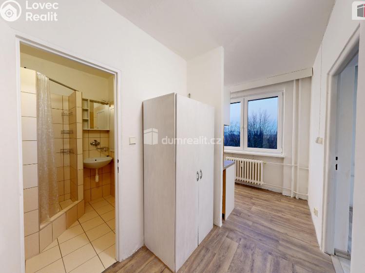 Pronájem bytu 1+1 Ostrava, 29. dubna č. 7