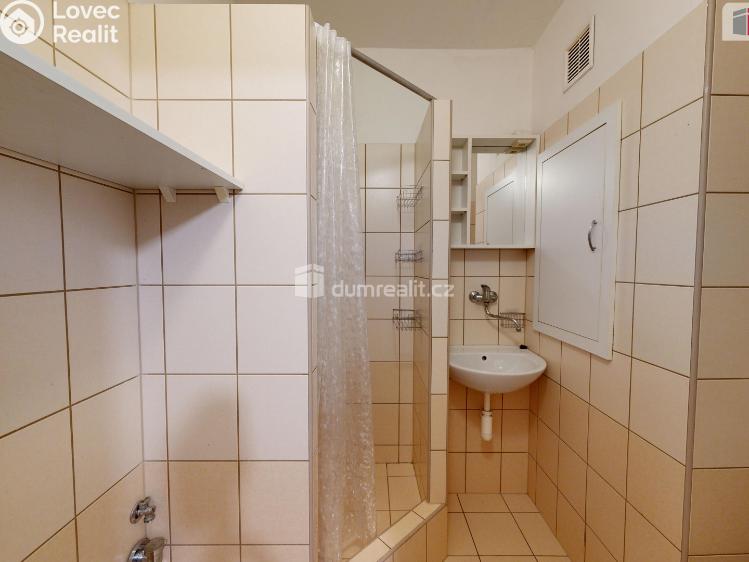 Pronájem bytu 1+1 Ostrava, 29. dubna č. 9