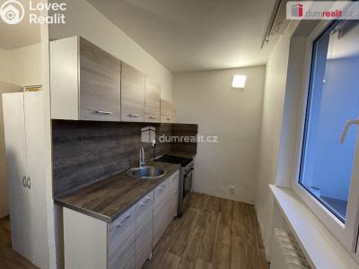 Pronájem bytu 1+1 Ostrava, 29. dubna č. 2