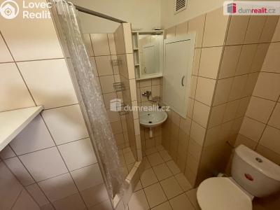 Pronájem bytu 1+1 Ostrava, 29. dubna č. 5