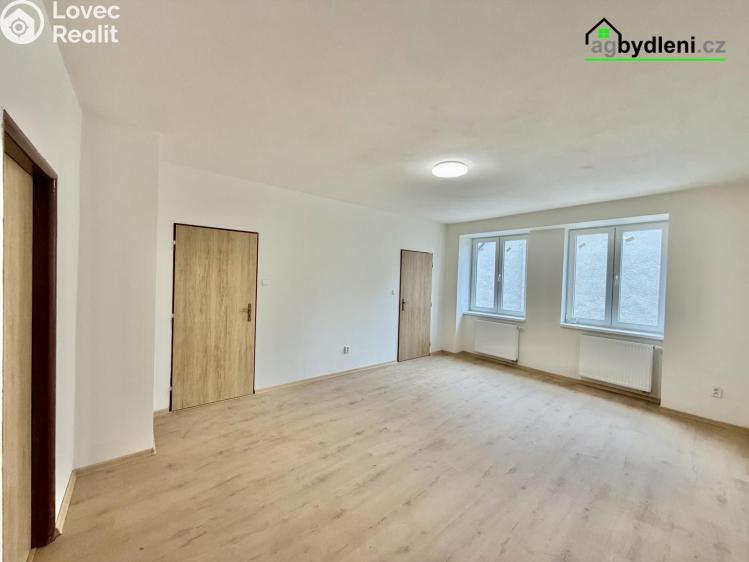 Pronájem bytu 2+1 Stod č. 1