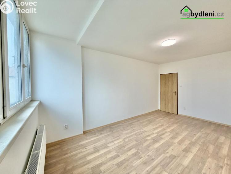 Pronájem bytu 2+1 Stod č. 3