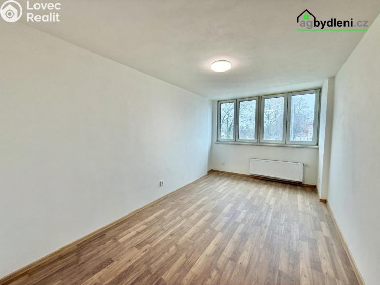 Pronájem bytu 2+1 Stod č. 4