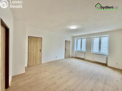 Pronájem bytu 2+1 Stod č. 1