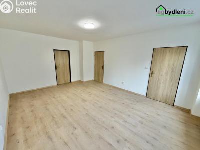 Pronájem bytu 2+1 Stod č. 2