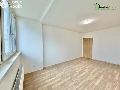 Pronájem bytu 2+1 Stod č. 3