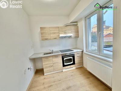 Pronájem bytu 2+1 Stod č. 5