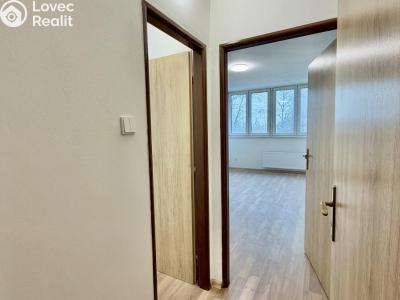 Pronájem bytu 2+1 Stod č. 6