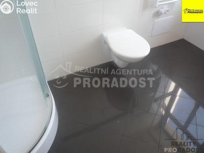 Pronájem bytu 1+KK Kladno, Jeronýmova č. 6