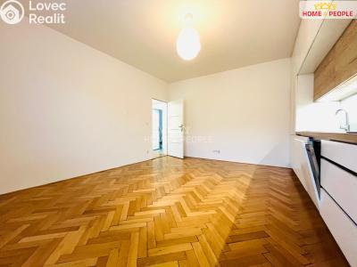 Pronájem bytu 3+KK Brno, Spáčilova č. 6