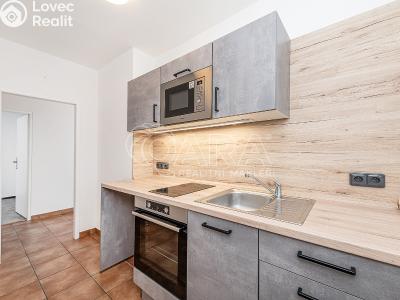 Pronájem bytu 2+1 Liberec, Dvorská č. 2