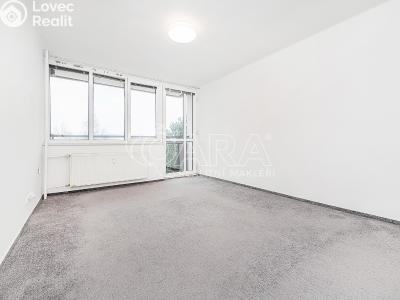 Pronájem bytu 2+1 Liberec, Dvorská č. 5