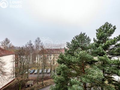 Pronájem bytu 2+1 Liberec, Dvorská č. 6