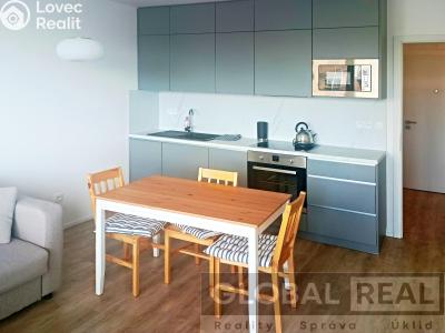 Pronájem bytu 1+KK Velké Meziříčí, Zdenky Vorlové č. 1