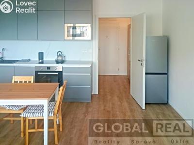 Pronájem bytu 1+KK Velké Meziříčí, Zdenky Vorlové č. 2