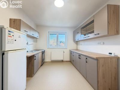 Pronájem rodinného domu Pardubice, 8. května 490 č. 3