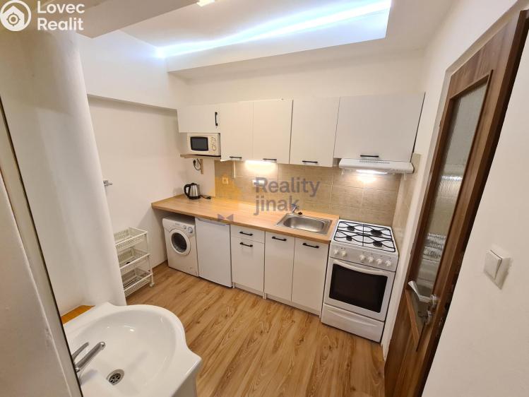 Pronájem bytu 1+1 Brno, Vodní 200/32 č. 1