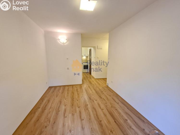 Pronájem bytu 1+1 Brno, Vodní 200/32 č. 4