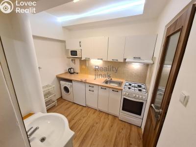 Pronájem bytu 1+1 Brno, Vodní č. 1