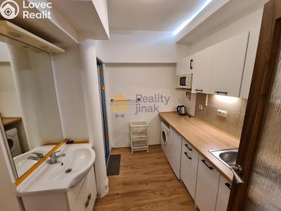 Pronájem bytu 1+1 Brno, Vodní č. 2