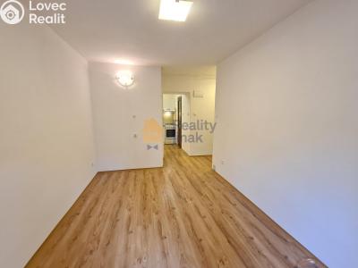 Pronájem bytu 1+1 Brno, Vodní č. 4