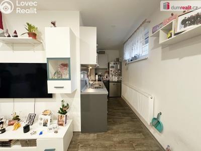 Pronájem bytu 2+KK Děčín, Kamenická č. 4