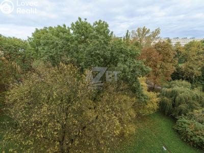 Prodej bytu 3+1 Karviná, Divišova č. 12