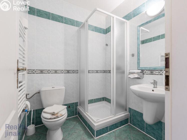 Prodej bytu 1+KK Dolní Dunajovice, Hlavní 555 č. 6