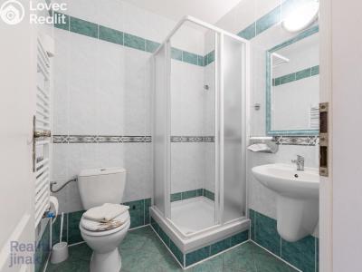 Prodej bytu 1+KK Dolní Dunajovice, Hlavní 555 č. 6