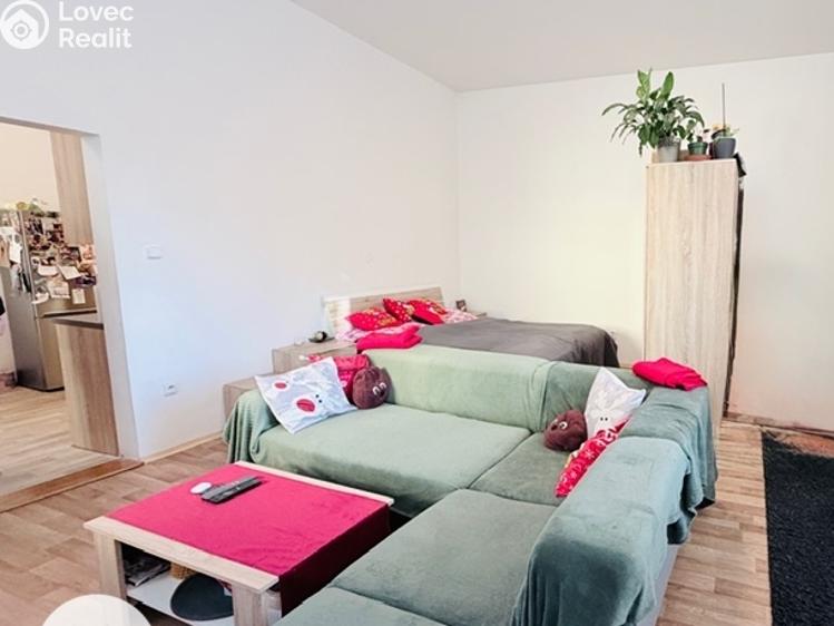 Pronájem bytu 1+1 Opava, Pekařská č. 3