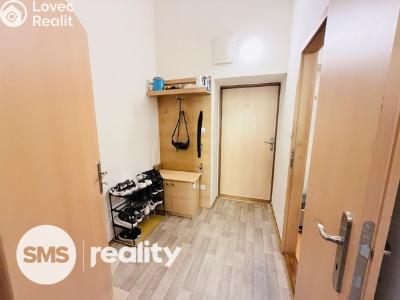 Pronájem bytu 1+1 Opava, Pekařská č. 4