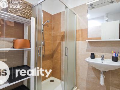 Pronájem bytu 2+KK Opava, Pekařská č. 6