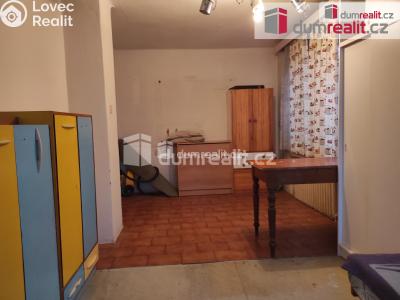 Pronájem bytu 1+KK Poděbrady, Dr. Filipa č. 1