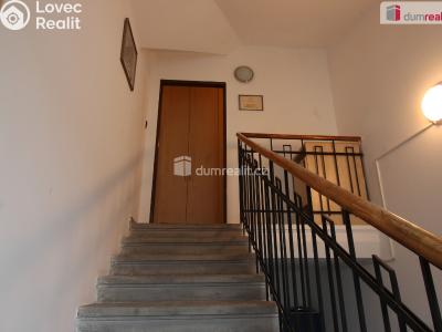 Pronájem bytu 1+1 Poděbrady, Dr. Horákové č. 3