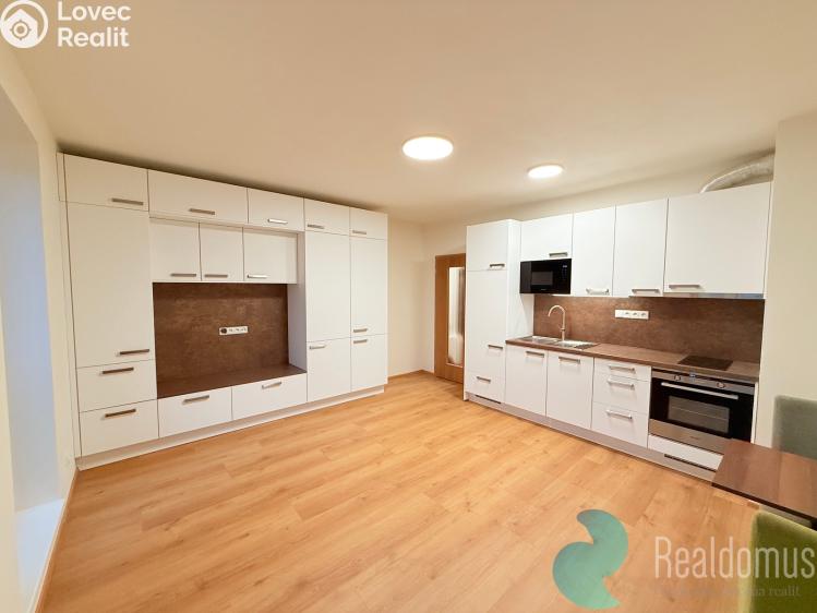 Pronájem bytu 1+KK České Budějovice, Dobrovodská 2886/83 č. 1