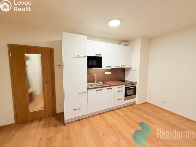 Pronájem bytu 1+KK České Budějovice, Dobrovodská 2886/83 č. 4