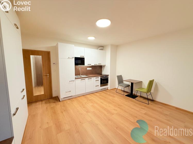 Pronájem bytu 1+KK České Budějovice, Dobrovodská 2886/83 č. 8