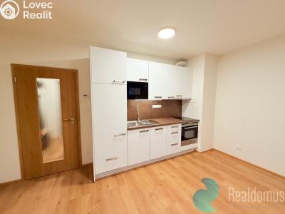 Pronájem bytu 1+KK České Budějovice, Dobrovodská č. 4